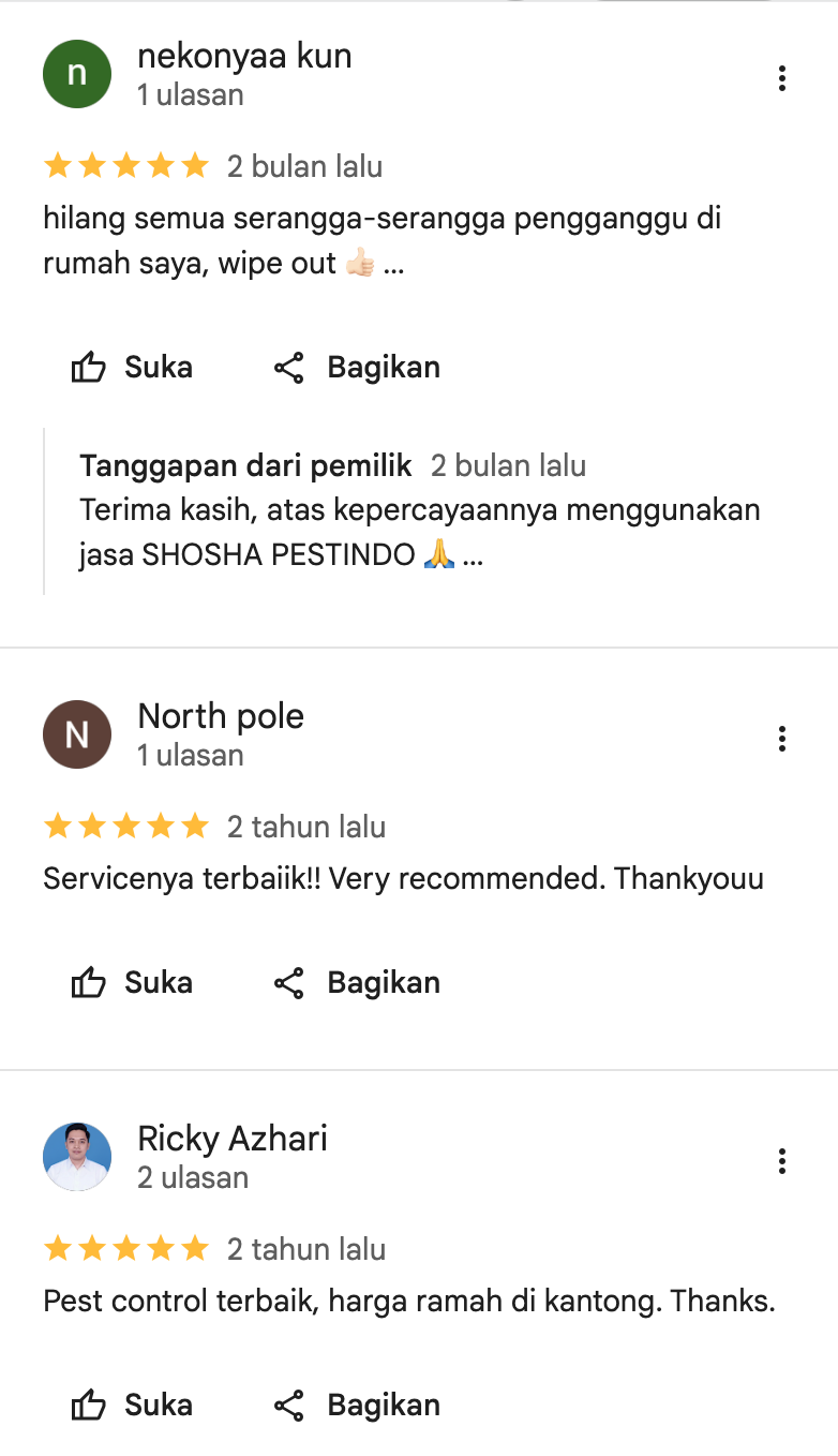 Screenshot 2026-02-12 at 20.40.26